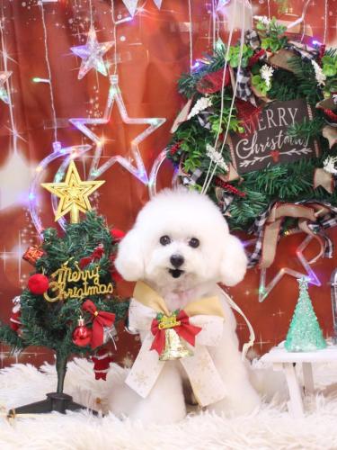 20231228チュッチュくん